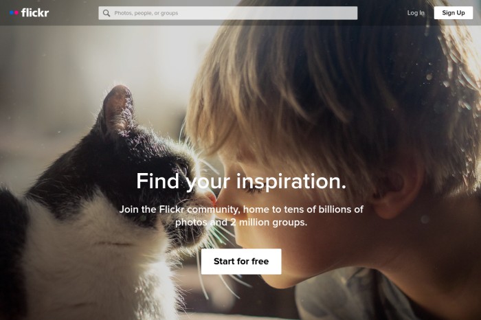 Flickr(雅虎旗下的图片分享平台)截图